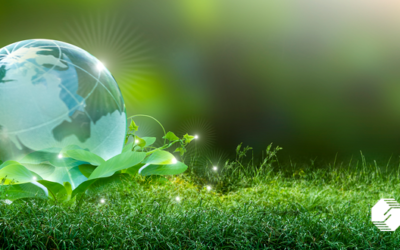 Four Ways Polaris MEP Can Help RI Manufacturers with Sustainability
