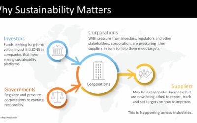 Sustainability as a “New Normal” for Manufacturing