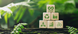 integrating sustainability