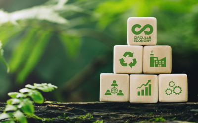 Integrating Sustainability: Insights from the Wisconsin Sustainable Business Council