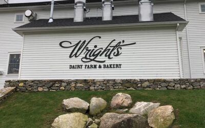 Lean Training Helps Dairy Make Transformational Cost-Saving “Moooooves”