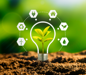an image of a leaf within a lightbulb showing sustainability