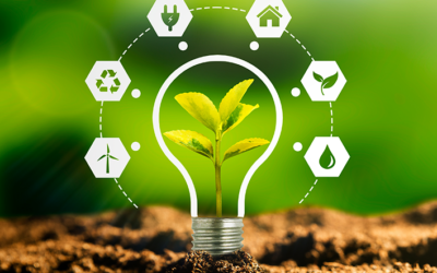 How Can Companies Improve Sustainability Efforts?